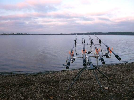 Doar ... NATURA - 4 - gedc0222.JPG